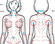 Lymphéa™ Sculpt Brush – The Natural Facial Contour Tool